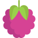 raspberry